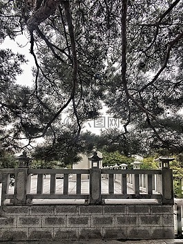 三八線,韓國,斷橋