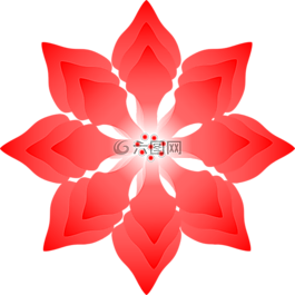 花,紅色,開花