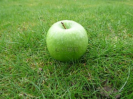 蘋(píng)果,草,綠色