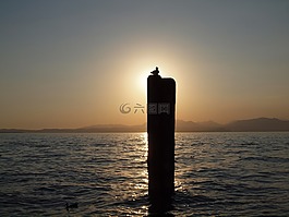 地平線,太陽(yáng),海鷗