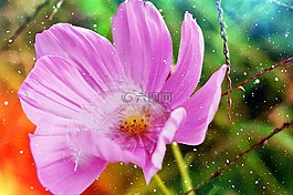 夢想,夢幻,浪漫