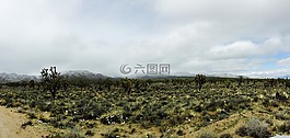 沙漠景觀,山,沙漠