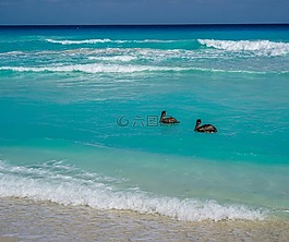 坎昆,墨西哥,海灘