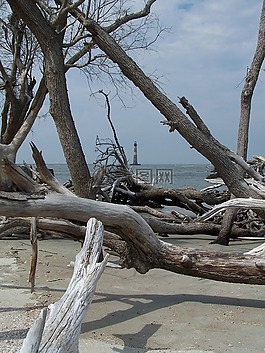 水,海洋,海灘
