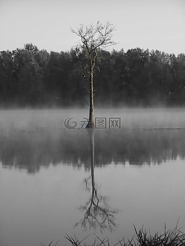 水,自然,湖