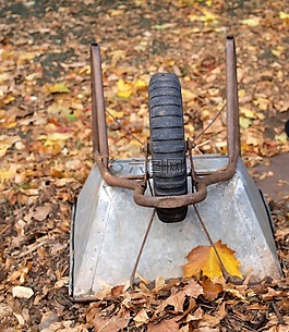 獨(dú)輪車,花園,秋
