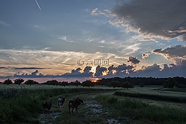 景觀,夏季,性質(zhì)