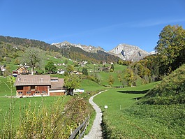 瑞士,山,wildhaus