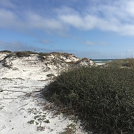 沙丘,沙,海灣