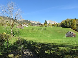 瑞士,山,wildhaus