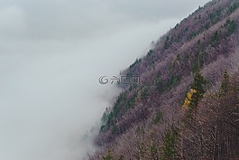 山坡上,有霧,自然