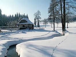 雪,國(guó)家,冷