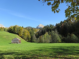 瑞士,山,wildhaus
