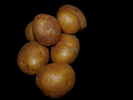 土豆,蔬菜,食品