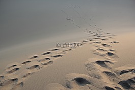 沙漠,腳標(biāo),上午