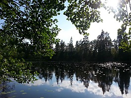 湖,大自然,水
