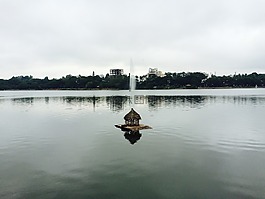 湖,鸭子的房子,水