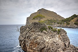 水,海,自然