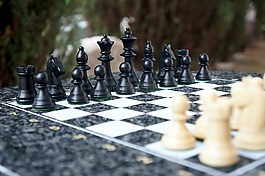 象棋,播放,棋
