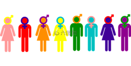 婦女,男子,人