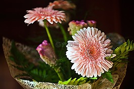 扶郎,鮮花,切花