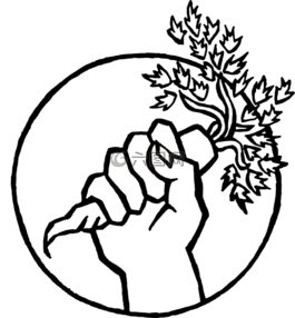 胡萝卜,拳头,花园