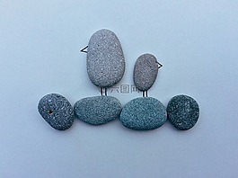鳥,海灘,海岸