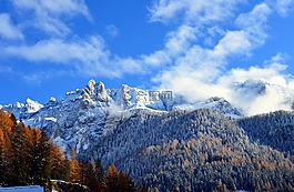 山,高山,性質