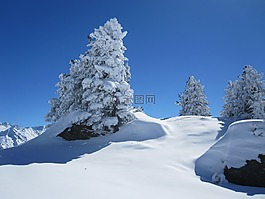 雪,冬天,山