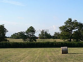場(chǎng),字段,干草捆