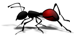 螞蟻,pismire,昆蟲