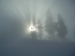 冬天,霧,灰色