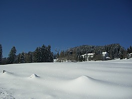 冬天,白,藍(lán)色