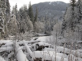 雪景,冬天,冬溪