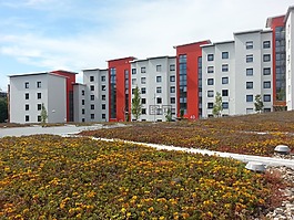 康復(fù),新建筑,綠色屋頂