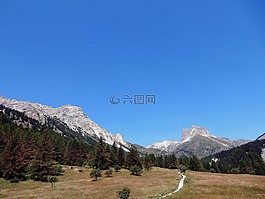 落葉松,山,阿爾卑斯山