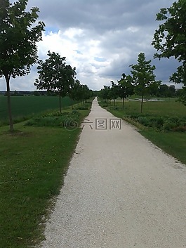 初夏,公園,樹木