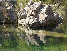 河,水庫,性質(zhì)