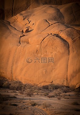 納米比亞,野生動物,非洲