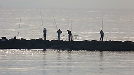 漁民,海,捕魚