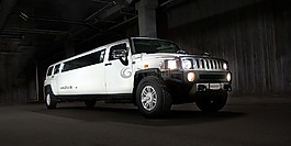 豪华轿车,豪华,车