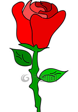 玫瑰,花,愛(ài)