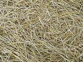 稻草,紋理,農(nóng)業(yè)
