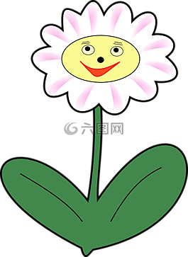 雛菊,花,植物