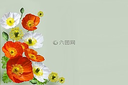 賀卡,罌粟,綠色基
