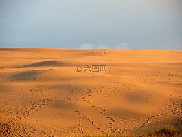 沙丘,沙漠,痕跡