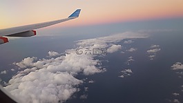 翅膀,旅行,航空學(xué)