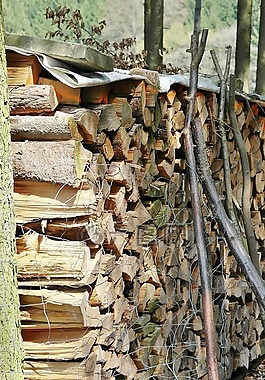 木,holzstapel,樹(shù)干