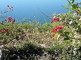 水,海洋,海岸線
