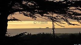 日落,樹,景觀